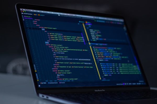Enterprise software development